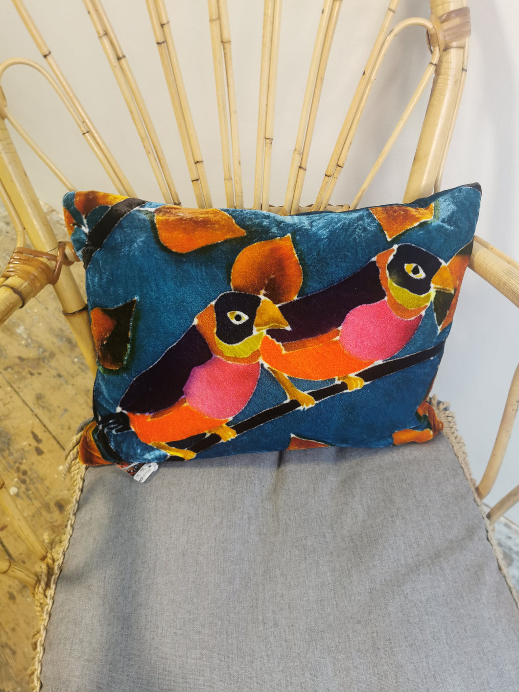 Hand-painted velvet cushions, TWO BIRDS multi coloured on petrol background.
